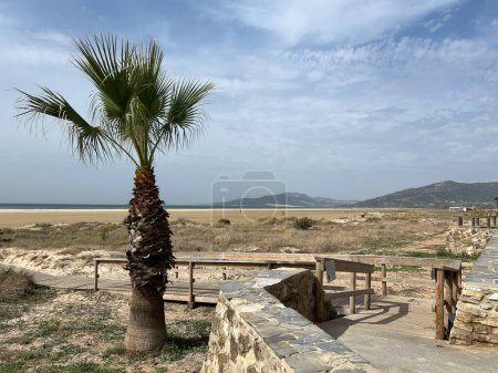 Foto de Playa Los Lances en Tarifa, Cádiz - Imagen libre de derechos