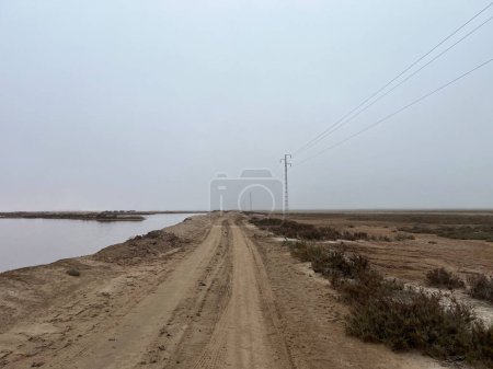 Carretera de arena en el Parque Nacional Donana alrededor de Sanlúcar de Barrameda en España