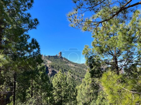 Photo for Roque Nublo on the island Gran Canaria - Royalty Free Image