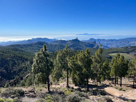 View from Pico de Las Nieves on the island Gran Canaria