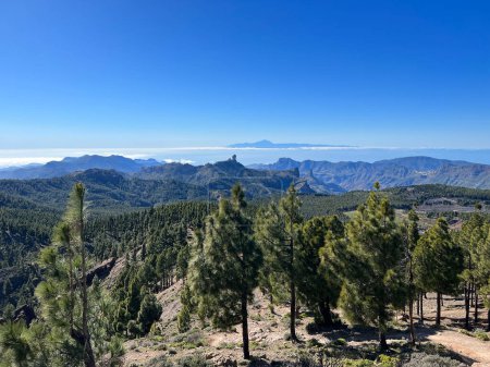 View from Pico de Las Nieves on the island Gran Canaria