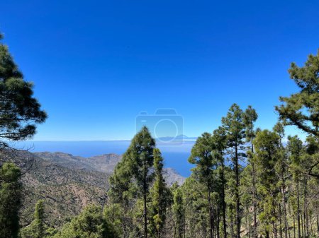 Téléchargez les photos : Paysages autour du parc naturel de Tamadaba sur l'île de Gran Canaria - en image libre de droit