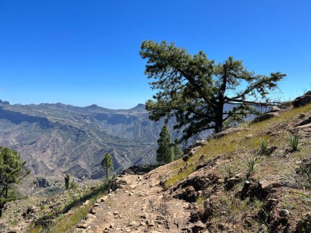Téléchargez les photos : Randonnée autour du parc naturel de Tamadaba sur l'île de Gran Canaria - en image libre de droit