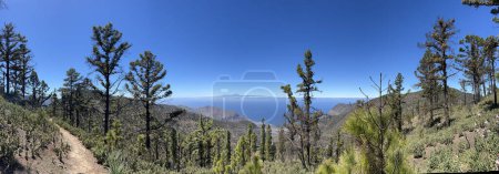 Téléchargez les photos : Sentier de randonnée panorama autour du parc naturel de Tamadaba sur l'île de Gran Canaria - en image libre de droit