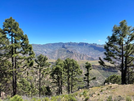 Téléchargez les photos : Paysages autour du parc naturel de Tamadaba sur l'île de Gran Canaria - en image libre de droit