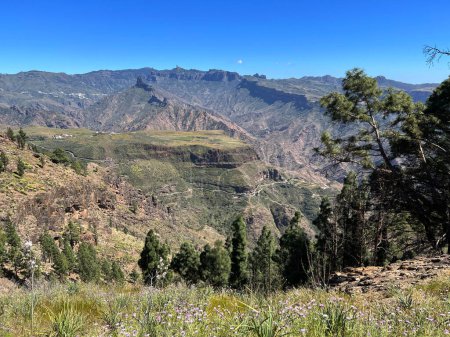 Paysages autour du parc naturel de Tamadaba sur l'île de Gran Canaria