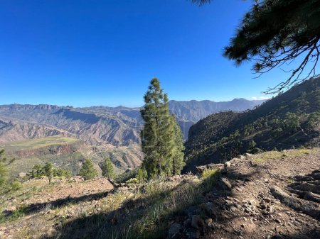Téléchargez les photos : Randonnée autour du parc naturel de Tamadaba sur l'île de Gran Canaria - en image libre de droit