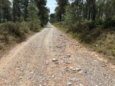 Camino de grava a través de la reserva natural alrededor de L Estartit en Cataluña España