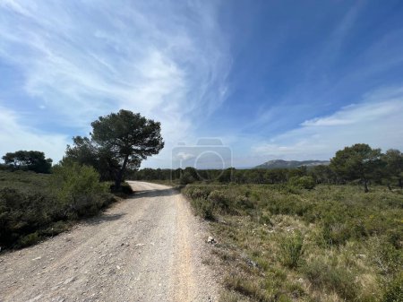 Camino de grava a través de la reserva natural alrededor de L Estartit en Cataluña España