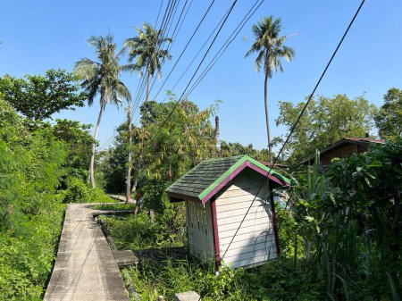 Natur in Bang Kachao, der urbanen Oase von Bangkok Thailand