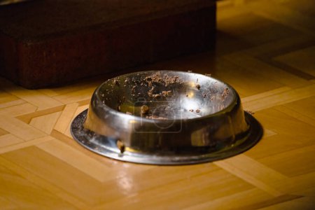 Photo for Empty stainless pet food bowl left dirty after cat or dog has eaten on a dark floor - Royalty Free Image