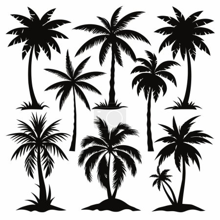 Téléchargez les photos : Silhouette de palmier set images vectorielles - en image libre de droit