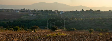 Téléchargez les photos : Paysage rural du nord de la Grèce, champs, oliveraies - en image libre de droit