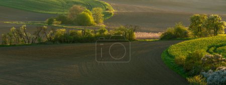 Foto de Vista panorámica de tierras de cultivo verdes y orgánicas salpicadas de saliva de tierra, grupos de árboles - Imagen libre de derechos