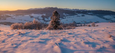 Photo for Extremely frosty mountain landscape at sunrise.Pieniny mountain,Poland - Royalty Free Image