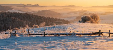Photo for Extremely frosty mountain landscape at sunrise.Pieniny mountain,Poland - Royalty Free Image