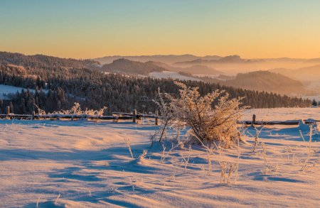 Téléchargez les photos : Paysage montagneux extrêmement givré au lever du soleil. montagne Pieniny, Pologne - en image libre de droit