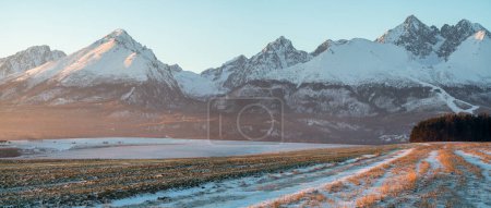 Farm fields in Slovakia in winter scenery with the Tatras in the background