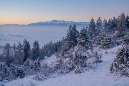 Téléchargez les photos : Beaux paysages d'hiver montrant le lever du soleil d'hiver dans les montagnes du Pieniny en Pologne - en image libre de droit