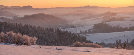 Téléchargez les photos : Paysage montagneux extrêmement givré au lever du soleil. montagne Pieniny, Pologne - en image libre de droit