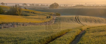 Photo for Undulating fields preceded by baulks and strips of trees and bushes - Royalty Free Image