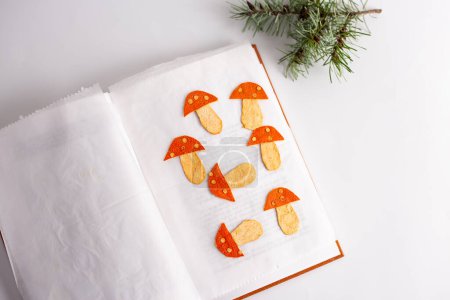 Téléchargez les photos : Un gros plan d'artisanat en écorce de mandarine déshydratée sèche en forme de champignons séchant sur livre, art populaire, décoration artisanale d'hiver ou de Noël, bricolage - en image libre de droit