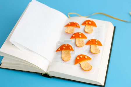 Téléchargez les photos : Quelques champignons séchant au-dessus d'un livre, art conceptuel, artisanat en écorces de mandarine, mise au point douce - en image libre de droit