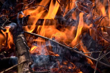Foto de Fuego quemando palos de madera. Macro y fotografía detallada. humo - Imagen libre de derechos
