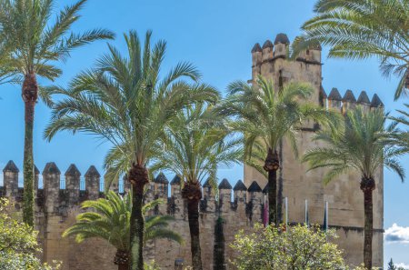 Photo for The Alcazar de los Reyes Cristianos (Spanish for "Castle of the Christian Monarchs"), is a medieval fortress located in the historic center of Cordoba, Andalusia, southern Spain - Royalty Free Image