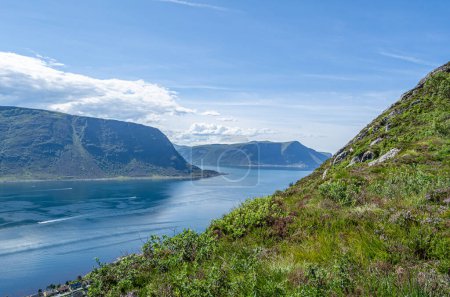 View of the fjord from the town of Alesund, More og Romsdal County, Norway