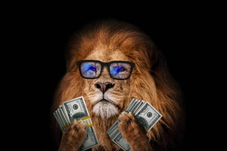 Foto de Cool successful leader lion boss with trendy eyes holds money dollars in his paws on a black background. Finance and management, creative idea. King of business and Investments, concept. - Imagen libre de derechos