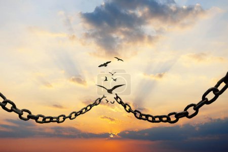 Metal chains break and birds fly at sunset in the sky, concept. Freedom and change, creative idea. Freedom of choice. Democracy Motivation and hope