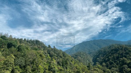 Foto de Hermosa vista panorámica en el bosque tropical con la montaña y el cielo azul como fondo - Imagen libre de derechos