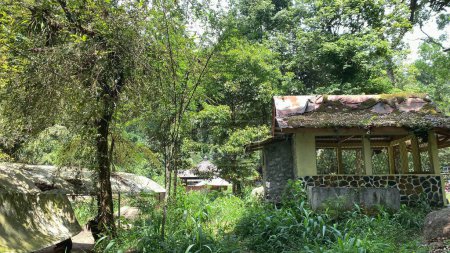 Foto de Cabaña pequeña cabaña en el medio del bosque Asia selva indonesia - Imagen libre de derechos