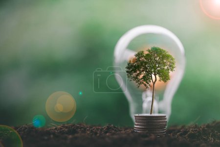 alternative energy, Renewable Energy, saving energy and finance, energy stock investment, tree growing up on stack coin and lightbulb on soil. electricity energy source for eco environment.