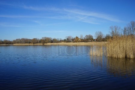 Foto de Vista del lago Habermannsee con magnífica vegetación en marzo. Kaulsdorfer Baggersee, Berlín, Alemania - Imagen libre de derechos