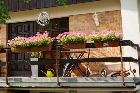 Foto de Los pelargonios decoran el balcón en junio. Pelargonium, geraniums, pelargoniums, o cigüeñas, es un género de plantas con flores. Berlín, Alemania - Imagen libre de derechos