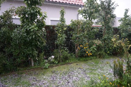 Téléchargez les photos : La pluie et la grêle tombent dans le jardin d'automne en septembre. La grêle est une forme de précipitations solides. Il se compose de boules ou de morceaux irréguliers de glace, chacun d'eux est appelé un grêle. Berlin, Allemagne - en image libre de droit