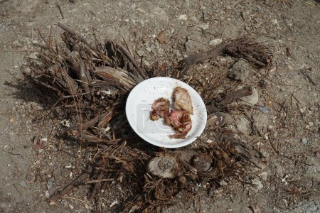 Téléchargez les photos : Les frelons et fourmis de Vespa orientalis ont fourré une assiette de viande en août. Le frelon oriental, Vespa orientalis, est une espèce d'insecte social de la famille des Vespidae. Pefkos ou Pefki, île de Rhodes, Grèce - en image libre de droit