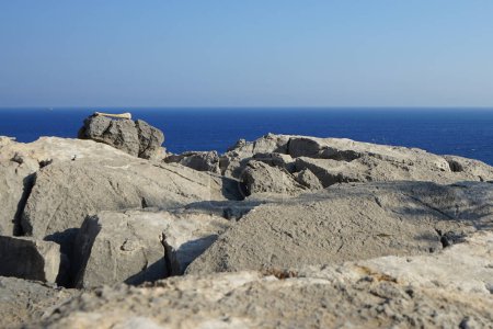 Tubular bone of an animal limb found on top of Lardos hill in August, Rhodes Island, Greece