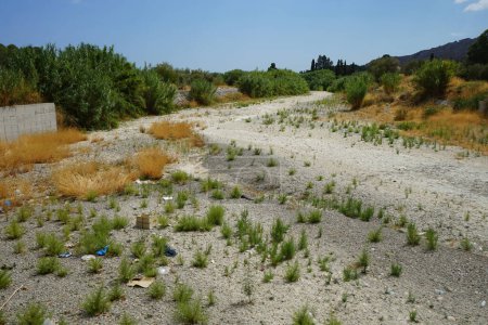 View of the Fonias riverbed in Lardos with vegetation in August. Lardos is a Greek village on the Lardos stream, also called Fonias, located at the eastern part of the island of Rhodes, South Aegean region, Greece 