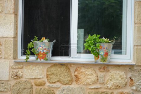 Mesembryanthemum cordifolium blüht im August in Blumentöpfen auf der Fensterbank. Mesembryanthemum cordifolium, Aptenia cordifolia, Baby-Sonnenrose, Herzblatt, rote Aptenia oder Apteniais, ist eine Sukkulentenart. Lardos, Insel Rhodos, Griechenland 