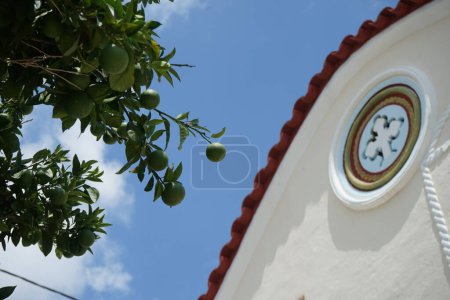 Iglesia Ortodoxa de Agios Taxiarchis rodeado de árboles cítricos con frutas Citrus x sinensis se encuentra en Lardos, isla de Rodas, Grecia. Citrus x aurantium f. aurantium, syn. Citrus x sinensis, es una especie comúnmente cultivada de naranja. 