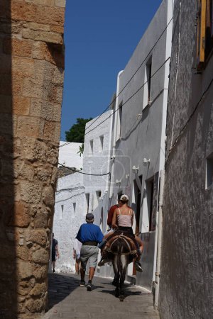 Donkeys take tourists from the old town of Lindos to Akropolis and back. The donkey, Equus asinus or Equus africanus asinus, is a domesticated equine. Rhodes Island, South Aegean region, Greece 