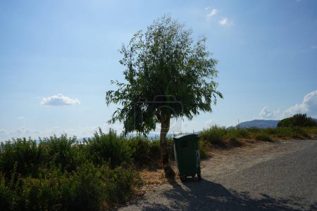 Un contenedor de basura se encuentra en la orilla del mar Mediterráneo en las proximidades de Pefki en agosto. Pefkos o Pefki es un conocido balneario situado en la costa oriental de la isla de Rodas, Grecia.