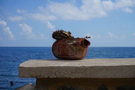 A clay flower pot in the form of a jug with drought-resistant plants: cacti and succulents stands on a fence against the backdrop of the sea. Pefkos or Pefki, Rhodes island, Greece