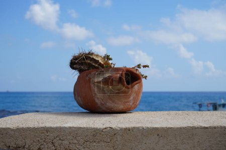 Photo for A clay flower pot in the form of a jug with drought-resistant plants: cacti and succulents stands on a fence against the backdrop of the sea. Pefkos or Pefki, Rhodes island, Greece - Royalty Free Image