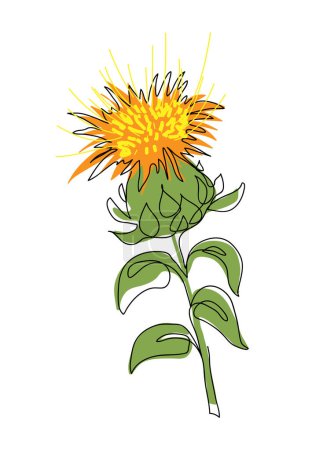 Illustration for Safflower flower vector illustration. One continuous line art drawing of safflower. - Royalty Free Image
