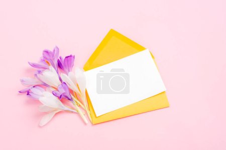 Yellow envelope with blank card, purple crocus flowers on pink background. Greeting card. Top view, flat lay, mockup.