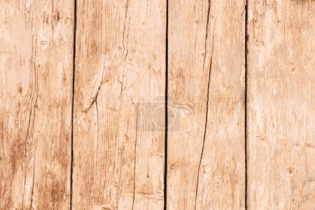 Old shabby wooden door background, texture. Demonstrating color of the year 2024 Peach Fuzz.